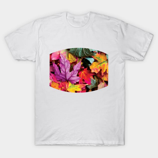 Pretty Autumn Fall Leaves T-Shirt by KindlyHarlot